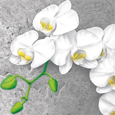 Zestaw serwetek - White Orchid on Concrete Background - 20szt