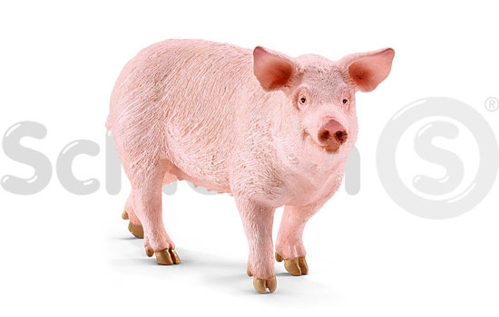 Schleich® Farm World - Świnia