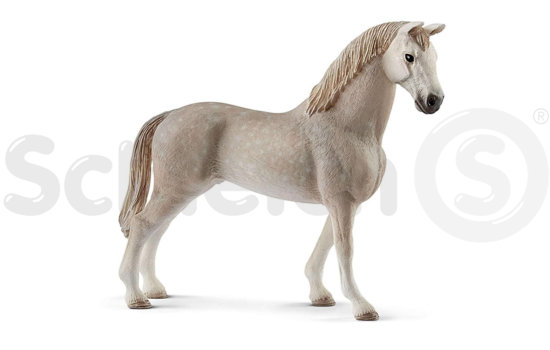 Schleich® Horse Club - Wałach konia holsztyńskiego