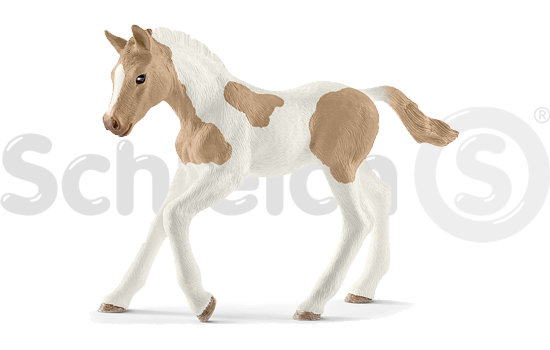 Schleich® Horse Club - Źrebię paint horse