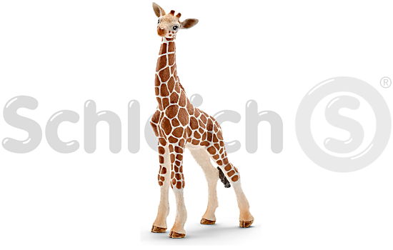 Schleich Wild Life - Mała żyrafa