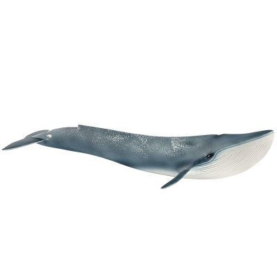 Schleich® WILD LIFE - Płetwal błękitny