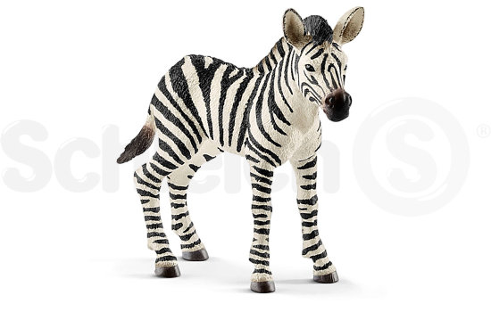 Schleich Wild Life - Zebra, źrebię