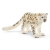 Schleich® WILD LIFE - Śnieżny leopard