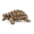 Schleich® WILD LIFE - Domek dla żółwi